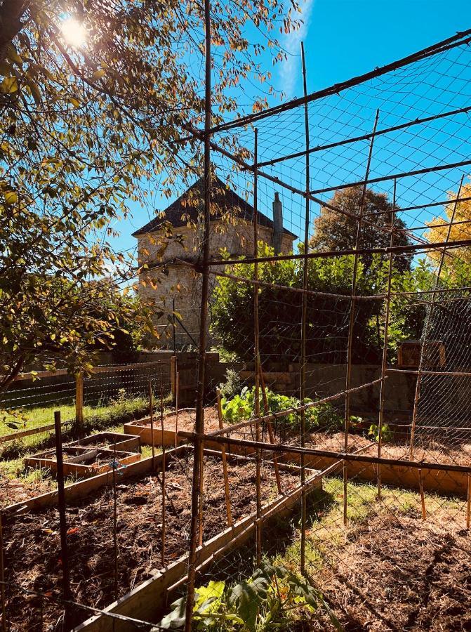 Pool House-L'Hirondelle De Sermizelles- Grand Jardin, Calme Et Nature Aux Portes Du Morvan Bagian luar foto