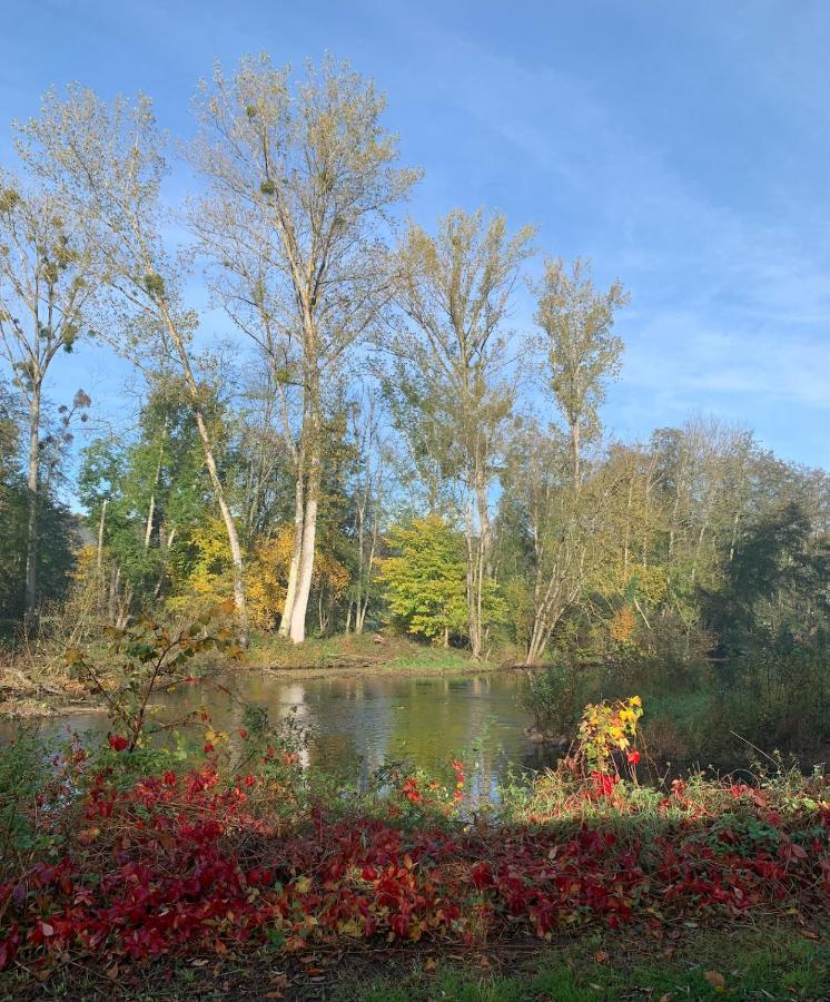Pool House-L'Hirondelle De Sermizelles- Grand Jardin, Calme Et Nature Aux Portes Du Morvan Bagian luar foto